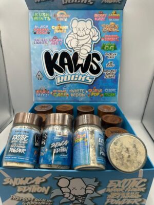 KAWS SNOWCAPS – Kaws rocks Snowcaps latest Edition