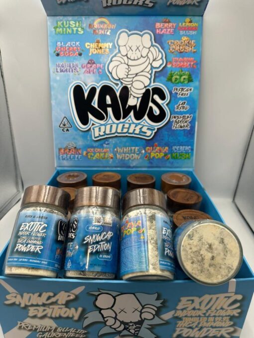 KAWS SNOWCAPS – Kaws rocks Snowcaps latest Edition